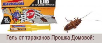 Domovoy gel against cockroaches - action, effectiveness, instructions, safety measures