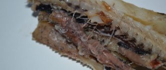 helminths in frozen pollock