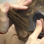 Comb for lice and nits