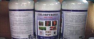 chlorpyrifos