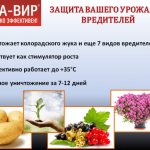 Интавир - защита от вредителей