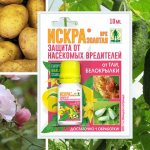 искра золотая