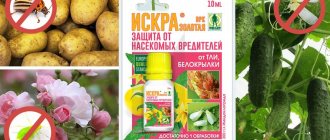 искра золотая