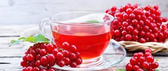 red viburnum beneficial properties