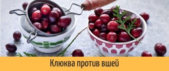 Клюква против вшей - рецепт