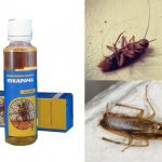 Cucaracha for cockroaches - selection