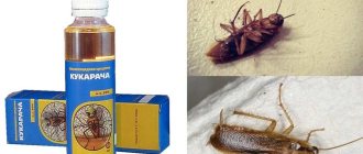 Cucaracha for cockroaches - selection