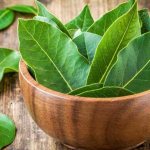 How to use bay leaf for cockroaches. What to do if bay leaf doesn’t help. How to treat cabbage with bay leaves against cabbage flies and their caterpillars - folk recipe 