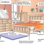 Places of bedbugs