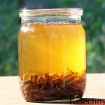 wax moth tincture in a jar