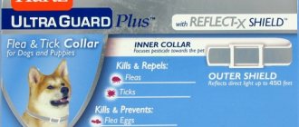 flea and tick collars for dogs