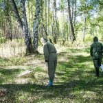 Searching for ticks in the forest