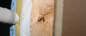 The drug “Forsyth for bedbugs”: composition, instructions for use, where to buy and at what price, reviews