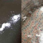 The drug Hector for bedbugs, how to use the powder, where to buy and at what price, customer reviews