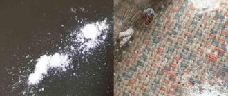 The drug Hector for bedbugs, how to use the powder, where to buy and at what price, customer reviews