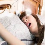 what does a cockroach mean in a dream?