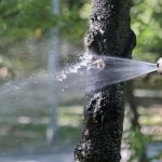 Water shower for wood