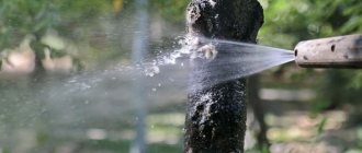 Водный душ для дерева